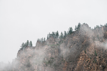 Ghostly view through dense fog to beautiful rockies. Low clouds among giant rocky mountains with trees on top. Alpine atmospheric landscape to big cliff in cloudy sky. Minimalist highland scenery.