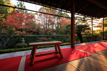 Beautiful Autumn Leaves in Kyoto Japan