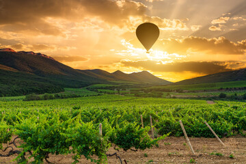 Hot air balloons over a vineyard at sunset, France