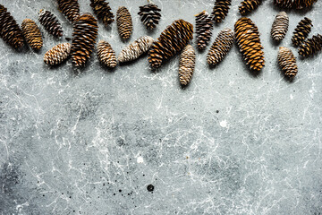 Christmas frame concept with cones