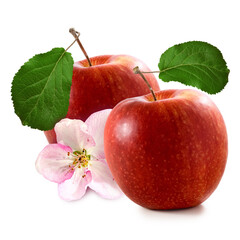  image of two apples on a white background