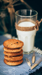 Fototapeta na wymiar Fresh oatmeal cookies on a dark background
