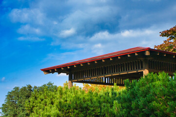 大空の下　緑　公園