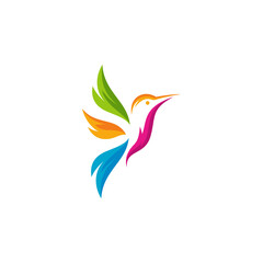 Modern colorful hummingbird logo illustration