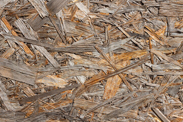 background of light wood chips