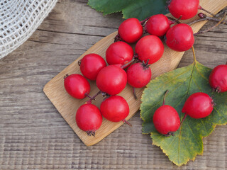 Ripe berries of the useful plant crataegus monogyna in a wooden spoon on a wooden stand, top view. Medicinal seasonal fruits of hawthorn with vitamins for making various drinks