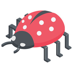 
A ladybird showing the concept of bug 
