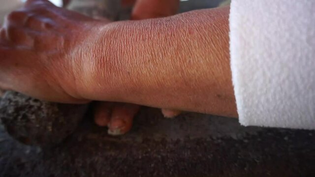 
grinding corn grains into metate, traditional way of making tortilla dough, traditional Mexican food