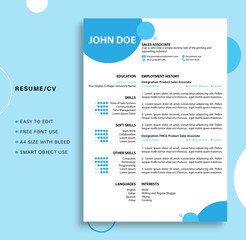 Professional Resume/CV Template 