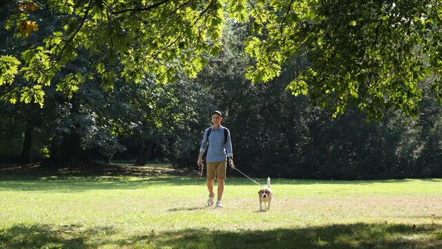 Man walks with his leashed pet dog in green city park beautiful nature