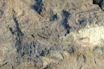 Background from a stone of igneous rock. Wallpaper made of textures of boulders of volcanic origin. Surface of granite, diabase, gabbro interspersed with spar, quartz. Sea shore. Day. Georgia.