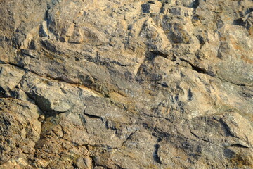 Background from a stone of igneous rock. Wallpaper made of textures of boulders of volcanic origin....
