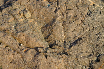 Background from a stone of igneous rock. Wallpaper made of textures of boulders of volcanic origin. Surface of granite, diabase, gabbro interspersed with spar, quartz. Sea shore. Day. Georgia.