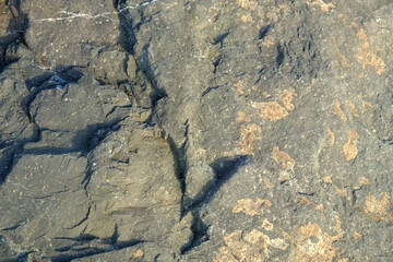 Background from a stone of igneous rock. Wallpaper made of textures of boulders of volcanic origin. Surface of granite, diabase, gabbro interspersed with spar, quartz. Sea shore. Day. Georgia.