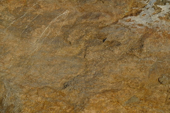 Background from a stone of igneous rock. Wallpaper made of textures of boulders of volcanic origin. Surface of granite, diabase, gabbro interspersed with spar, quartz. Sea shore. Day. Georgia.