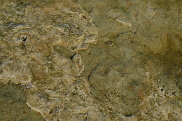 Background from a stone of igneous rock. Wallpaper made of textures of boulders of volcanic origin. Surface of granite, diabase, gabbro interspersed with spar, quartz. Sea shore. Day. Georgia.