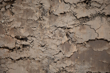 brown ground texture