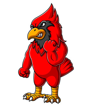 1,358 Cardinal Mascot Images, Stock Photos, 3D objects, & Vectors