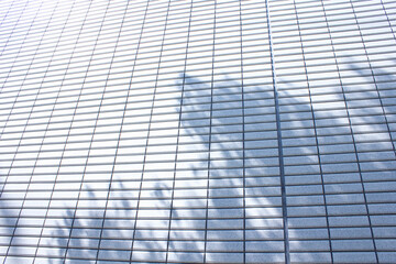 オフィスビルのタイルの壁の木漏れ日