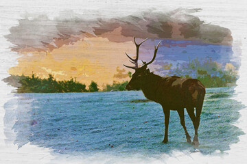 Deer on the foggy meadow at sunrise, watercolor painting