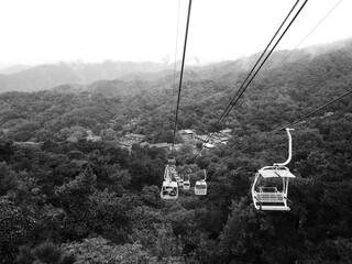 Cable cars in nature
