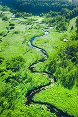 Stunning river and green swamps in summer, aerial view