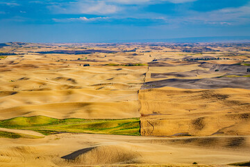 Amazing yellow hills. Plowed fields, an incredible drawing of the earth. Steptoe Butte State Park,...