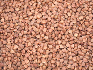 brown buckwheat seeds. beautiful background