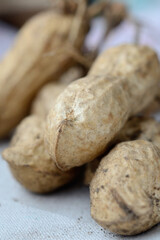 Freshly harvested peanuts in shell closeup. Shallow depth of field