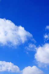 Obraz premium 青空