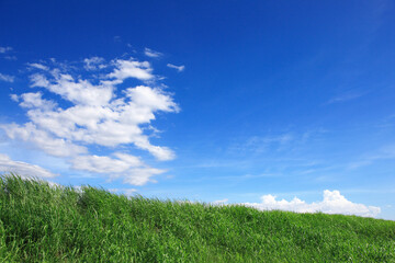 草原と青空