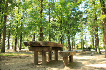 Naklejka premium 木々の中のテーブル