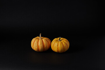 Pumpkins in the black background ready for Halloweens and fall festivities 