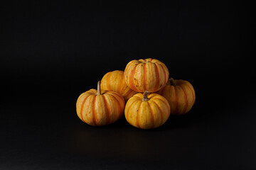 Pumpkins in the black background ready for Halloweens and fall festivities 