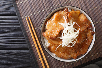 Delicious Japanese fried pork in a slightly sweet sauce, served on top of rice close-up in a bowl on the table. horizontal top view from above