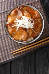 Japanese Butadon pork rice bowl close-up in a bowl on the table. Vertical top view from above