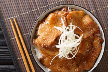 Butadon pork bowl, is a Japanese dish consisting of a bowl of rice topped with pork simmered in a mildly sweet sauce close-up in a bowl on the table. Horizontal top view from above