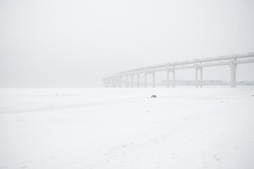Empty overpass highway in snow, a white pure picture of snowy road. Cold winter, white snowy sky and tall highway abandoned scary with no cars