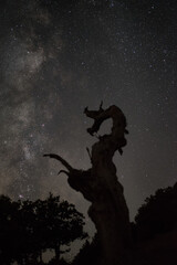 
night photography and dark photography