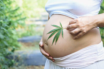 Pregnant woman in outdoor CBD culture holds a fresh leaf in her belly.