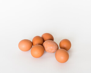 Brown eggs in the white background 