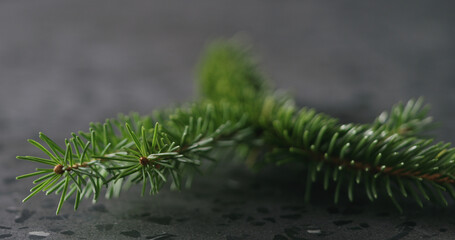 spruce twig on terrazzo countertop