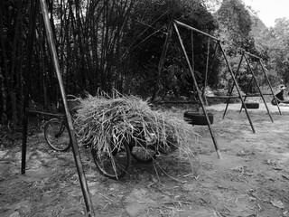 Bicycle in a rural place