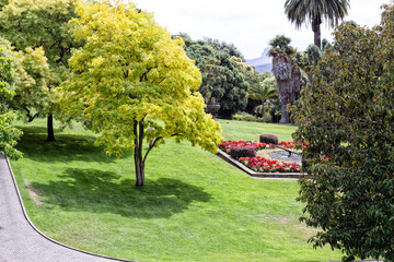 Obraz premium View of a section of the Royal Tasmania Botanical Gardens