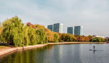 Bright autumn landscape of a city Park in Moscow with willows on the Bank and the silhouette of a man on the SUP board