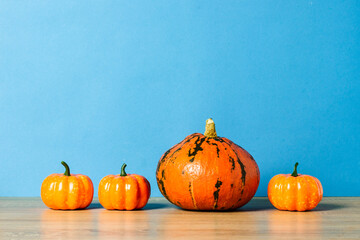 Ripe Pumpkins on a blue background. Harvest concept, Thanksgiving day, cook food, autumn