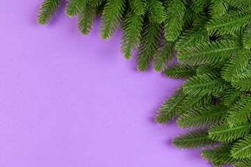 Top view of colorful background made of green fir tree branches. New year holiday concept with copy space