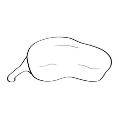 Pepper. Hand drawn doodle icon. Vector black and white illustration isolated on white background. Decoration for greeting cards, posters, patches, prints for clothes, emblems.
