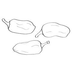 Pepper. Hand drawn doodle icon. Vector black and white illustration isolated on white background. Decoration for greeting cards, posters, patches, prints for clothes, emblems.