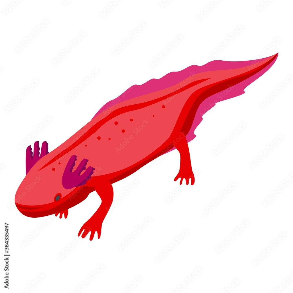 Poster axolotl animal icon. isometric of axolotl animal vector icon for web design isolated on white backgr
